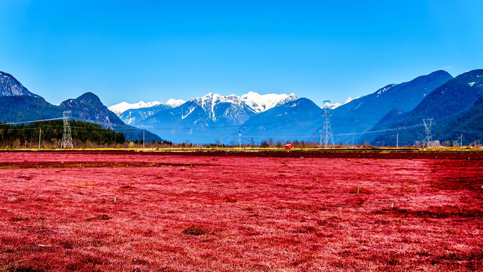 Cranwest Farms